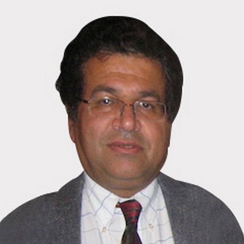 Prof. Hamid Allamehzadeh