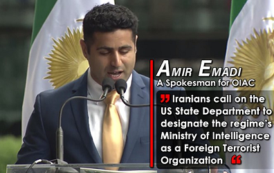 Amir Emadi