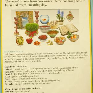 Congressional_Briefing7